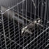 Hypeety Bird Parrot Stainless Steel Stand, 7.19 x 0.75 inch Perch Rod for Cage Accessories