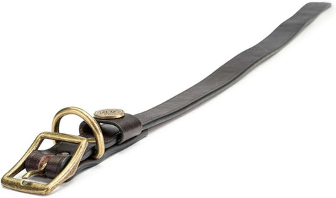 King Buck Premium Leather D Ring Dog Collar, L/XL