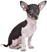 Rhinestone Dog Collar, Bling PU Leather Crystal Diamond Pet Collar S M L XL (S, Hot Pink)