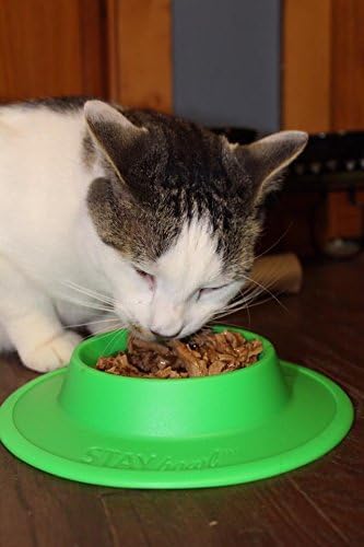 Pet Food and Water Bowl for Cats, Toy Breed Dogs, Bearded Dragons, Turtles, Small Pets (3/4 Cup, Sky Blue)