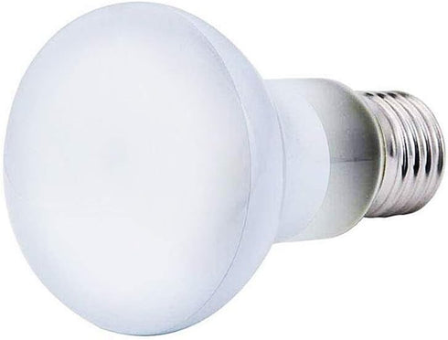 100W Basking Spot Heat Lamp Bulbs, 110V Reptile Mercury Vapor Bulbs for Reptile and Amphibian Use (2 Pack)