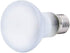 100W Basking Spot Heat Lamp Bulbs, 110V Reptile Mercury Vapor Bulbs for Reptile and Amphibian Use (2 Pack)