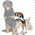 TUFFY World's Tuffest Soft Dog Toy - Barnyard Junior White Rabbit, Durable, Machine Washable