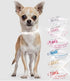 Cute Rhinestone Dog Collar, Dazzling Sparkling Leather Collar for Dogs and Cats, Crystal Diamond (S:21-27cm, Silver)