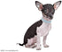 Cute Dazzling Sparkling Fancy PU Leather Bling Rhinestone Crystal Jeweled Pet Collar for Cat Dog Puppy