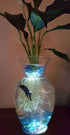 2 Inch Live Aquarium Peace Lily Plant (Spathiphyllum Wallisii) - Pot