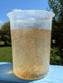 Demeter Biosciences 12.5g 32oz Live Brine Shrimp by Demeter Bio, Mixed Size brine Shrimp Shipped in of Liquid - Arrive