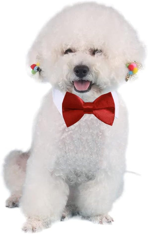 4 Pieces Pets Dog Cat Bowtie Pet Costume, Adjustable Formal Necktie Collar for Small Dogs and Cats, Puppy Grooming