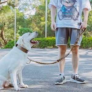 EXCELLENT ELITE SPANKER Tactical Dog Leash Heavy Duty 5-6FT Adjustable No Pull Bungee Leash with 2 Padded Control