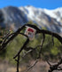 Spy Pika, LLC 2 Count (Pack 1) Pika Wipes, Nose Hygiene for Outdoor Runners & Hikers for Breathing Relief, Leaks, Sweat