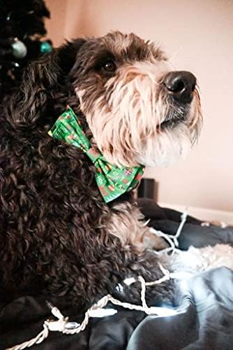 Huxley & Kent Bow Tie for Pets, Merry & Bright (Small), Christmas Holiday Velcro Bow Tie Attachment
