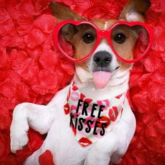 2 Pack Valentines Day Bandana for Dogs, Triangle Bibs Pet Scarf for Dogs