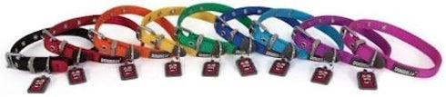 Petmate Dogzilla Collar, 5/8" x 10-16" Adjustable Pink Collar for Medium Dogs