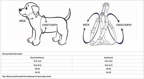 Blueberry Pet Adjustable Step-in Dog Harness - Velvety Heart Flocking Valentine’s Day for Medium Dogs, Lust Red