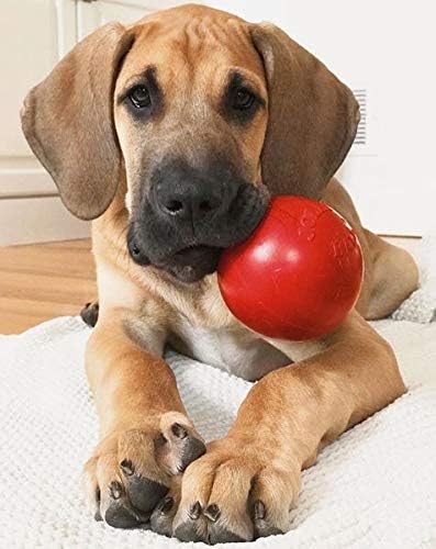 Jolly Pets Tug-n-Toss Heavy Duty Dog Toy Ball with Handle, Mini 3 Inches, Red (403 RD)