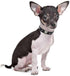 Cute Dazzling Sparkling Elegant Skull Diamond Crystal Rhinestone Leather Collar for Small Pet Dog Cat (S, Red)