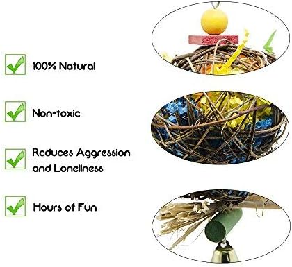 EBaokuup 2 Pack Bird Chewing Toys, Foraging Shredder Hanging Toy for Parrot Cage (Cockatiel Conure African Grey)