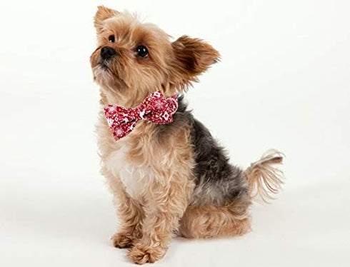ARING PET Dog Collar with Bowtie - Adjustable Collars for Small, Medium, Large, and X-Large Dogs