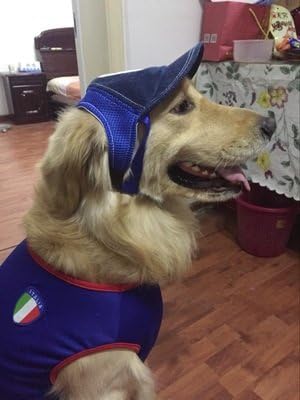Pet Dog Baseball Cap - Outdoor Sun Protection Hat for Small Medium Large Dogs (Medium Cap, Blue)