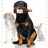 100% SILLY SQUEAKERS-Wine Bottles - Dog Toy - Vinyl. Made Durable & Strong. Novelty Play Toy. Many Bottles to Choose