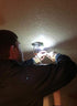Gator Eyes Multi-use Mini Lights 5-Pack, Model SXI-L001