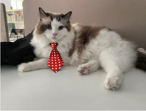 4 Pieces Adjustable Bowtie Pet Costume for Dogs and Cats, Formal Necktie Collar Grooming Accessories (Red/Heart)