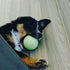 Chew King Glowing Fetch Ball Dog Ball Toys 3 Inch Pack of 2 Fits Ball Launcher