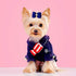 20Pcs/10pairs Small Dog Hair Bows with Rubber Bands, Rhinestone Puppy Hair Bows for Small Medium Pets (Purple Pink Blue)