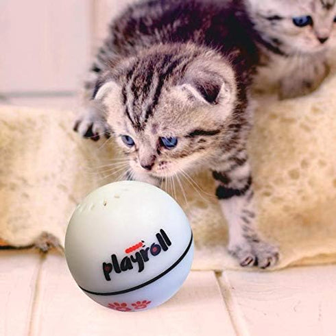 Playroll! Robotic Self Spinning Ball Toy for Cats and Dogs - Built-in Catnip Chamber, LED Light, Auto Sleep Function
