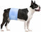 Pappiora Male Dog Diaper Disposable Wraps for Waist 1622 in,10 Count Leakproof, Super
