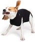 Suitical Recovery Suit for Dogs, Breathable Fabric for Spay, Neuter, Skin Conditions, M+, Black