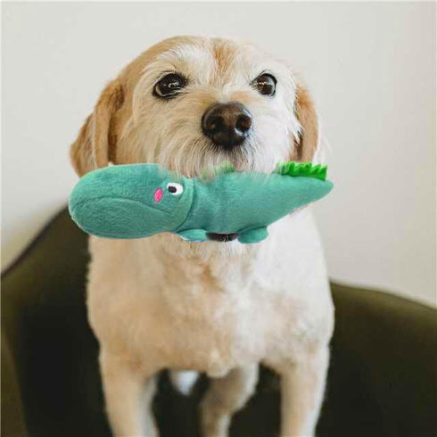 Jalousie Multipack Dog Squeaky Toys, Bulk Dog Toy for Small Medium Large Dogs (12 Pack Rope and Plush)