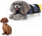 Dog Drag Bag, Wheelchair Alternative for Paralyzed Dogs with Wooden Scooter for Indoor and Outdoor Use (Yellow, S)