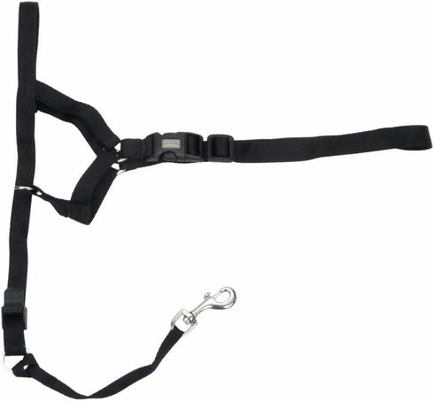 Coastal Pet Walk 'n Train Dog Head Halter, No-Pull Harness, Black, XLarge