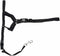 Coastal Pet Walk 'n Train Dog Head Halter, No-Pull Harness, Black, XLarge