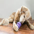 (Pack 2) KONG Senior - Dog Toy with Gentle, Natural Rubber - Durable Dog Toy for Older Dogs - Use Treats with Stuffable