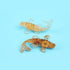 Opexicos 4Pcs Decorative Crystal Gravel Drop Glue, Fish Shape Small Ornaments for Fish Tank Aquarium Pool