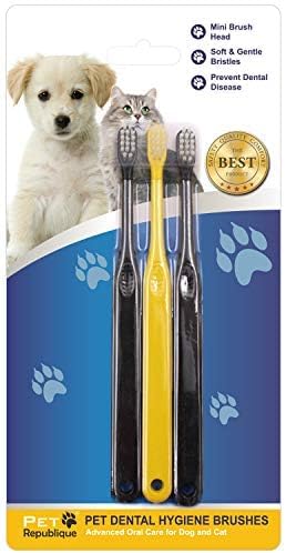 Small Toothbrush for Dogs Cats - Cat Toothbrush, Small Dog Toothbrush - Designed for Cat, Kitten, Puppy, and Small Dog Like Chihuahuas, Yorkshire, and Poodle (6 Count)