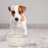 Fringe Studio Stoneware Pet Bowl, Small, White with Tribal Marks