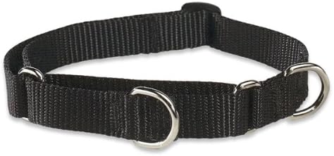 LupinePet Basics 3/4" Black Martingale Collar, 14-20" for Medium and Larger Dogs