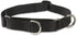 LupinePet Basics 3/4" Black Martingale Collar, 14-20" for Medium and Larger Dogs
