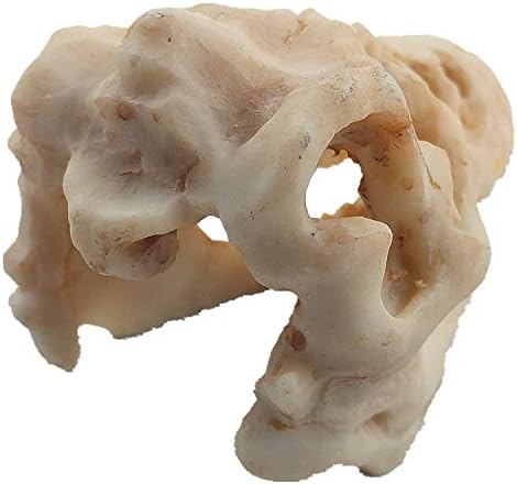 Mini Dinosaur Skull Aquarium Ornament | Resin Tank Decoration for Betta Fish | Small Reptile Hideout with Holes