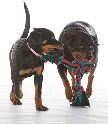 Mammoth Flossy Chews Color Rope Tug – Premium Interactive Dog Rope Toy
