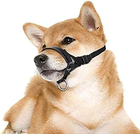 Dog Muzzle for Small, Medium, Large Dogs, Prevent from Biting, Barking and Chewing, Adjustable Loop (M/Red)