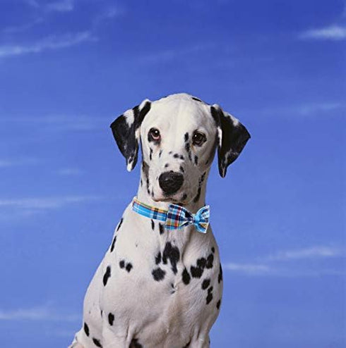 Unique Style Paws Plaid Dog Collar with Bow - Adjustable Soft and Comfy Bowtie Collars for Small Medium Large Dogs