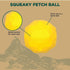 Hound2O Dog Chew Toys - Squeaky Fetch Ball, Yellow - Tough, Engaging, & Interactive Chew Toys for All Breeds- Chew, Chase, & Fetch - Non-Toxic Durable Materials That Float, Easy to Clean Outdoor Play