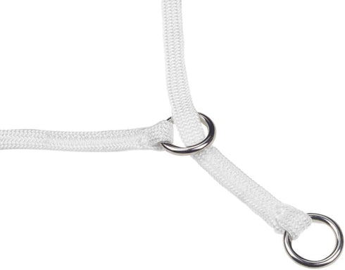 Show Slip Collar – Conformation Dog Collar – Flat Braided Premium Nylon – Chrome Plated Hardware Rings – Perfect for Small Pups to Large Dogs – Designer Dog Collar for Dog Shows