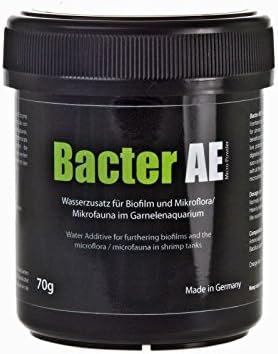 Bacter AE Content 70 g