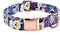 Durable Adjustable Metal Buckle Dog Collar, Soft for Small Medium Large Dogs
