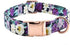 Durable Adjustable Metal Buckle Dog Collar, Soft for Small Medium Large Dogs